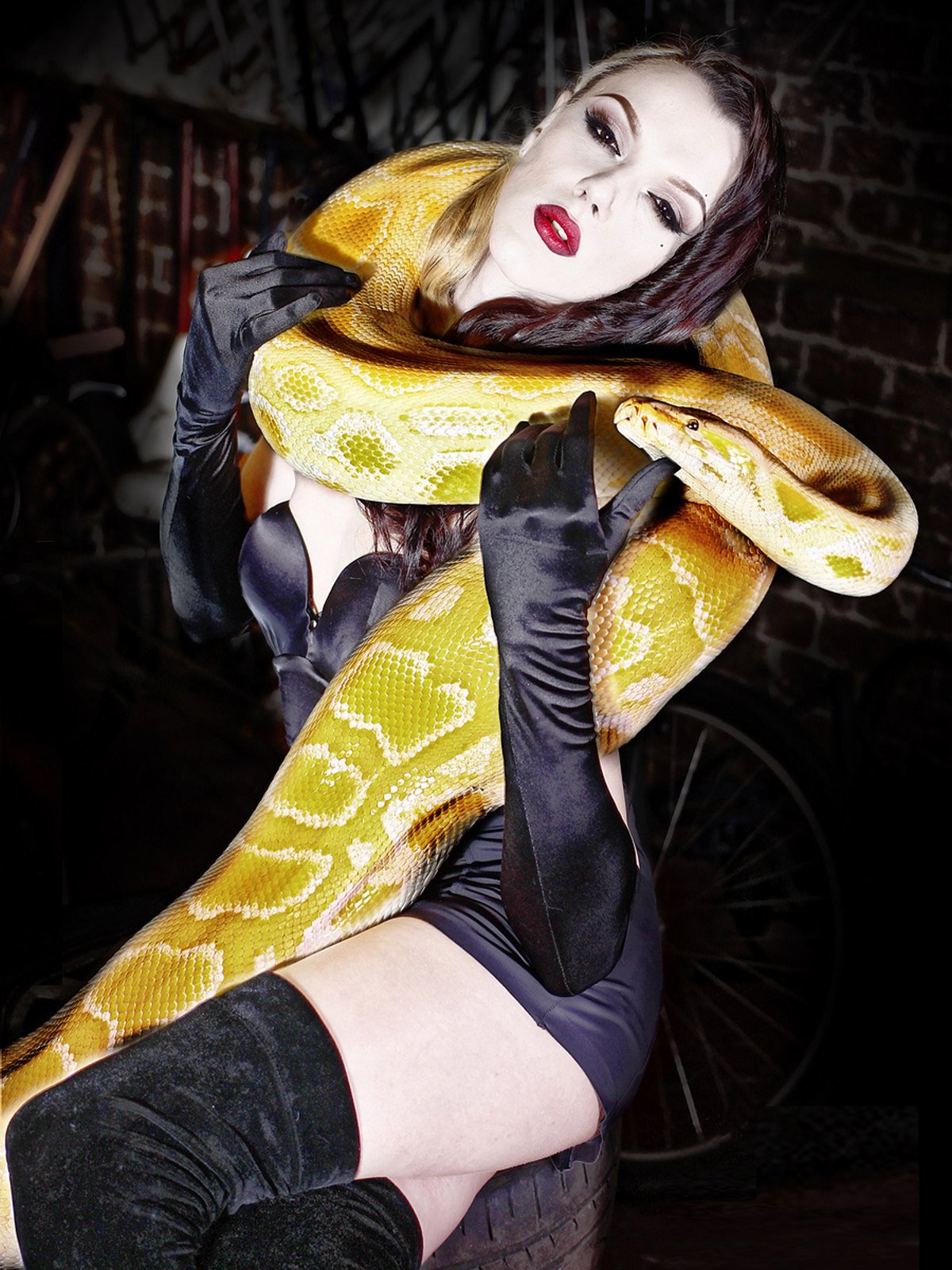 Head Shot Picture of Quinn Ingram